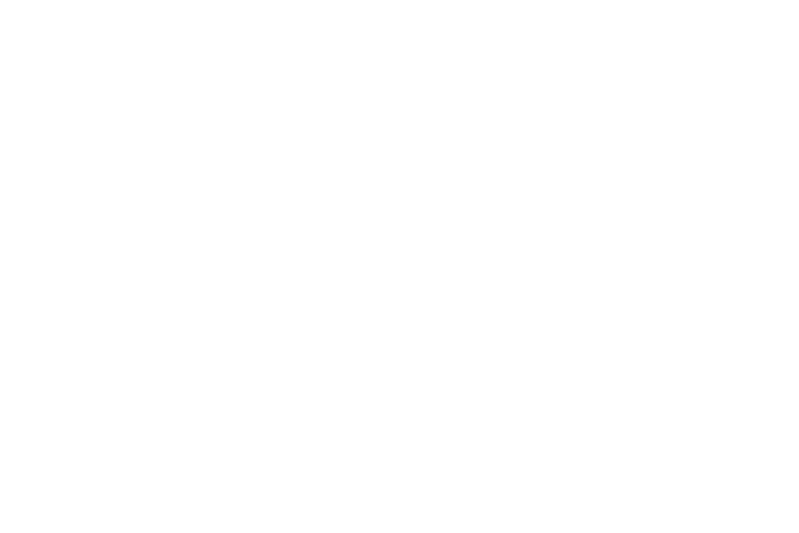 FUTURA HAUS